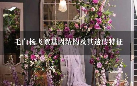 毛白杨飞絮基因结构及其遗传特征