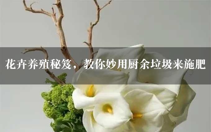 花卉养殖秘笈，教你妙用厨余垃圾来施肥