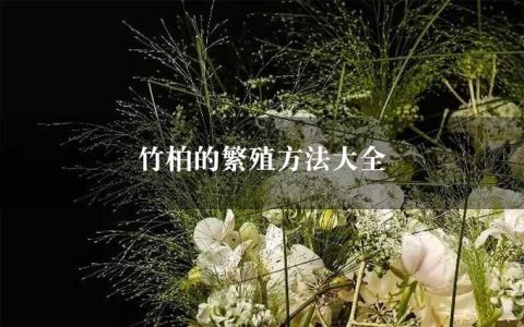 竹柏的繁殖方法大全