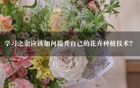 学习之余应该如何提升自己的花卉种植技术？