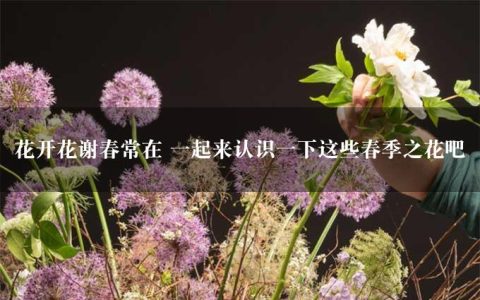 花开花谢春常在 一起来认识一下这些春季之花吧