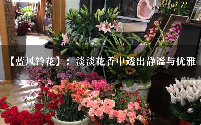 【蓝风铃花】：淡淡花香中透出静谧与优雅