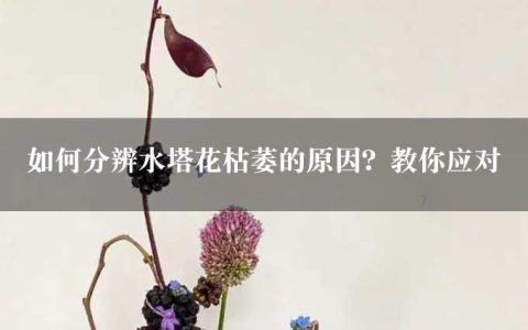 如何分辨水塔花枯萎的原因？教你应对