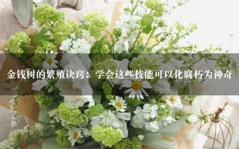 金钱树的繁殖诀窍：学会这些技能可以化腐朽为神奇