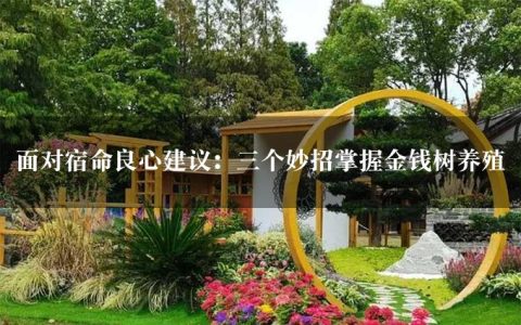 面对宿命良心建议：三个妙招掌握金钱树养殖