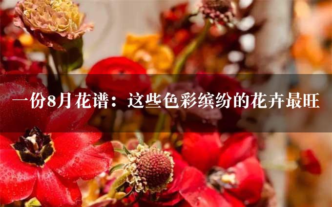 一份8月花谱：这些色彩缤纷的花卉最旺