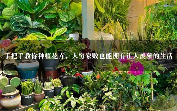 手把手教你种植花卉，人穷家败也能拥有让人羡慕的生活