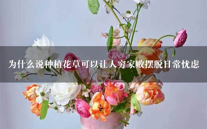 为什么说种植花草可以让人穷家败摆脱日常忧虑