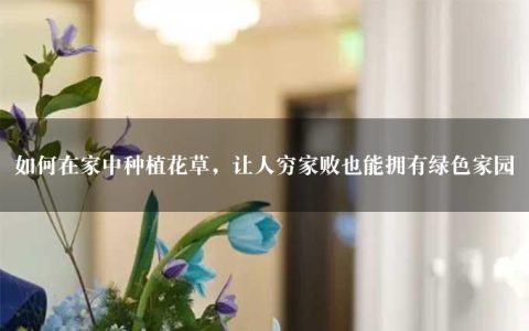 如何在家中种植花草，让人穷家败也能拥有绿色家园