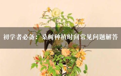 初学者必备：桑树种植时间常见问题解答