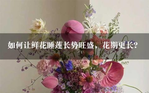 如何让鲜花睡莲长势旺盛，花期更长？