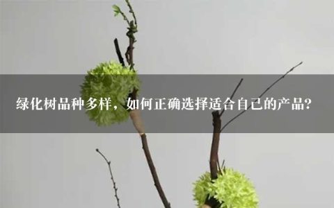 绿化树品种多样，如何正确选择适合自己的产品？