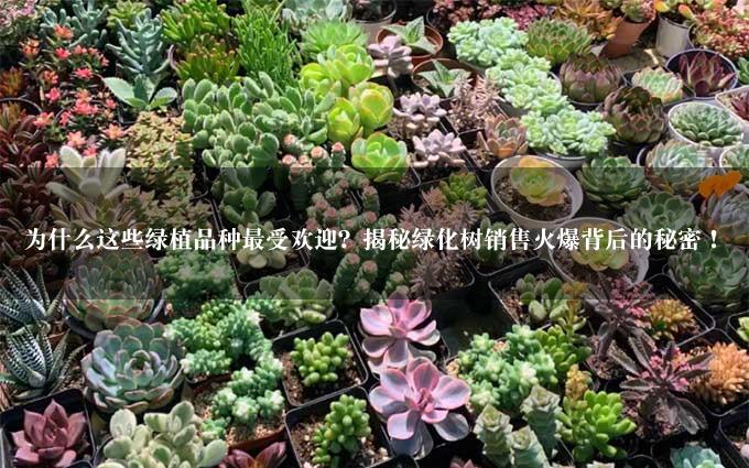 为什么这些绿植品种最受欢迎？揭秘绿化树销售火爆背后的秘密！