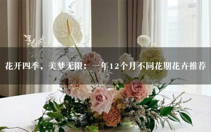 花开四季，美梦无限：一年12个月不同花期花卉推荐