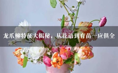 龙爪柳特征大揭秘，从花语到育苗一应俱全