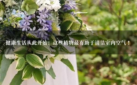 健康生活从此开始：这些植物最有助于清洁室内空气！