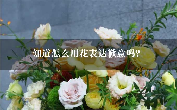 知道怎么用花表达歉意吗？