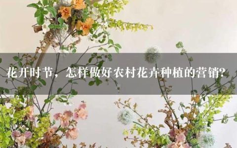 花开时节，怎样做好农村花卉种植的营销？