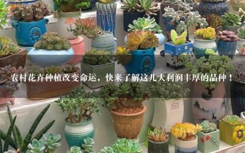 农村花卉种植改变命运，快来了解这几大利润丰厚的品种！