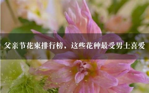 父亲节花束排行榜，这些花种最受男士喜爱