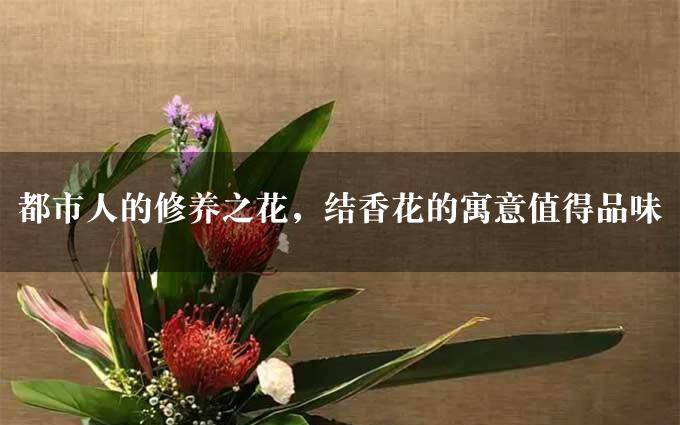 都市人的修养之花，结香花的寓意值得品味