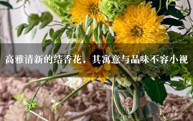 高雅清新的结香花，其寓意与品味不容小视