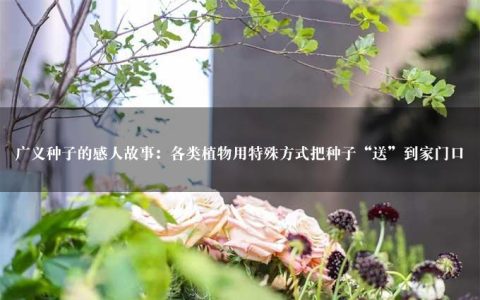 广义种子的感人故事：各类植物用特殊方式把种子“送”到家门口