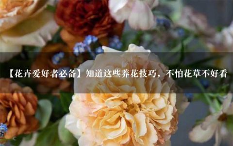 【花卉爱好者必备】知道这些养花技巧，不怕花草不好看