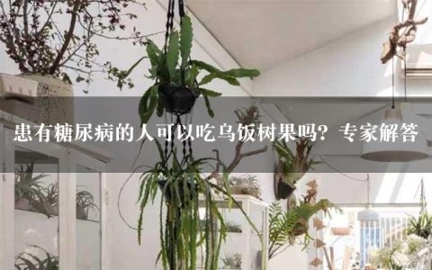 患有糖尿病的人可以吃乌饭树果吗？专家解答