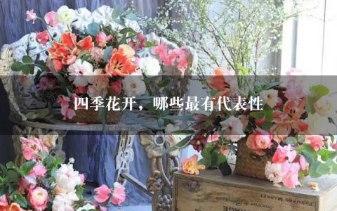 四季花开，哪些最有代表性