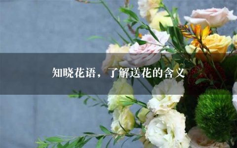 知晓花语，了解送花的含义