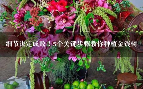 细节决定成败！5个关键步骤教你种植金钱树