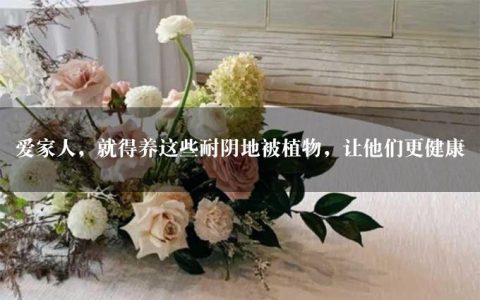 爱家人，就得养这些耐阴地被植物，让他们更健康