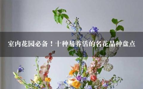 室内花园必备！十种易养活的名花品种盘点