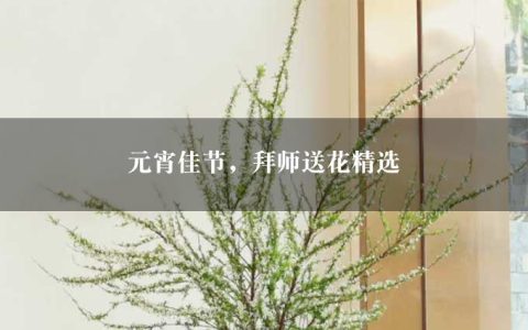 元宵佳节，拜师送花精选