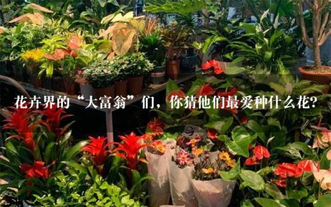 花卉界的“大富翁”们，你猜他们最爱种什么花？