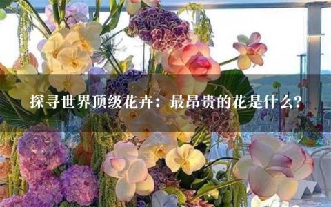 探寻世界顶级花卉：最昂贵的花是什么？