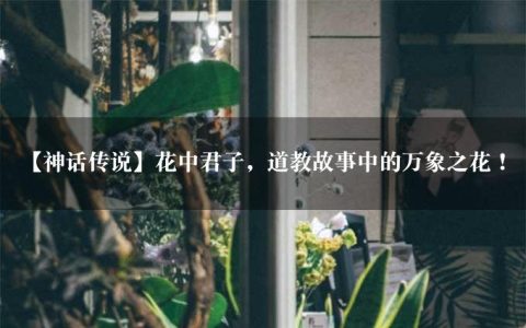 【神话传说】花中君子，道教故事中的万象之花！