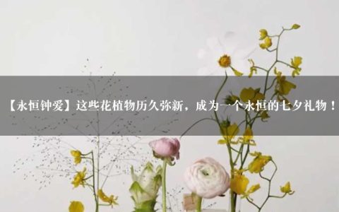 【永恒钟爱】这些花植物历久弥新，成为一个永恒的七夕礼物！