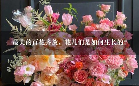 最美的百花齐放，花儿们是如何生长的？