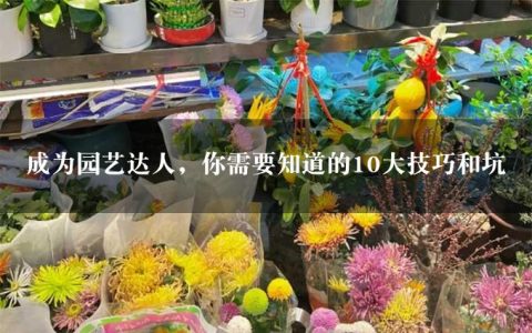 成为园艺达人，你需要知道的10大技巧和坑