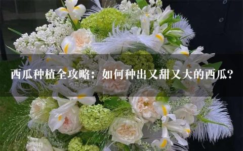 西瓜种植全攻略：如何种出又甜又大的西瓜？