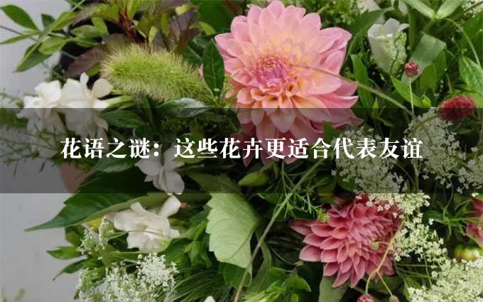 花语之谜：这些花卉更适合代表友谊