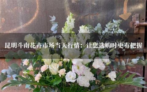 昆明斗南花卉市场当天行情：让您选购时更有把握