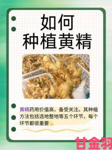 国精产品一区一区三区有限在线，如何选择最适合你的优质产品？