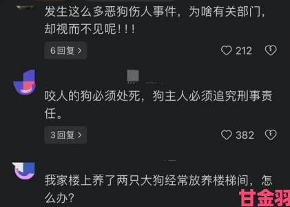 一人一狗卡住1小时事件持续发酵 多部门介入调查背后责任归属