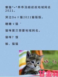 2024年成人猫咪最新地域网名背后真相某城市养宠文化现象解读