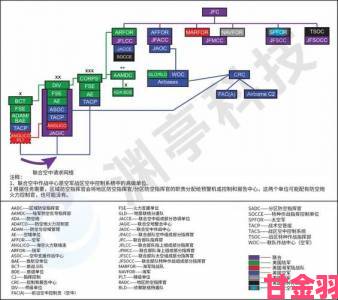 将军hlH深度教学：从零开始打造专属战术体系的完整教程