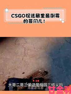 残疾主播CSGO游戏遇欺负 玩家暖心举动令人动容