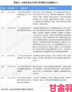 最新政策解读国产一级片行业如何应对审查与市场挑战